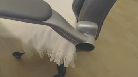 09seb09 online show from 04.17.26