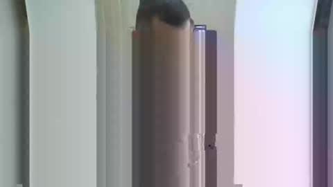 Snapshot of 0trkshmnhot0 chatting on 03.01.25 trkshmn online show from 03.01.25