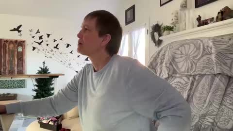 Aurora Willows online show from 01.09.26