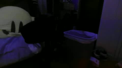 1337assman1337 online show from 10.21.25