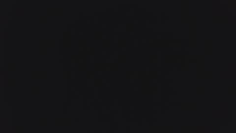 1900pley online show from 04.11.26