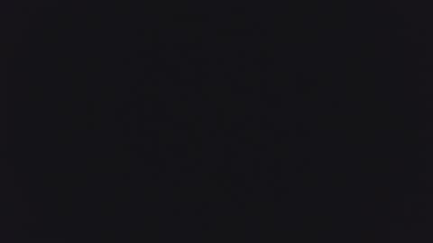 1900pley online show from 04.16.26