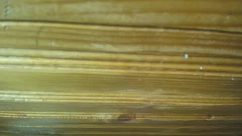 Snapshot of 19carla chatting on 02.21.25 Carl the good girl online show from 02.21.25