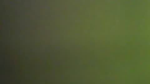 Snapshot of 1deluxepussy chatting on 01.09.25 Deluxepussy online show from 01.09.25