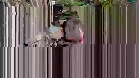 Snapshot of 1nine6nine chatting on 03.02.26 BiHungThickCock69 online show from 03.02.26