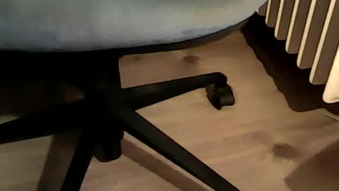 1vaso online show from 12.06.24