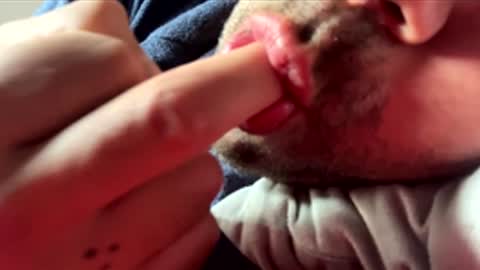 2025rob online show from 03.01.26