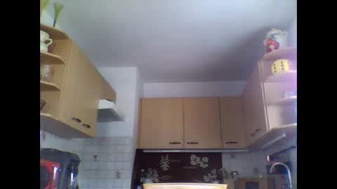 20x5cmgermanlongdong online show from 03.11.25