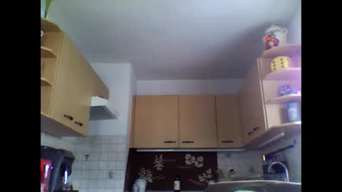 20x5cmgermanlongdong online show from 09.16.25