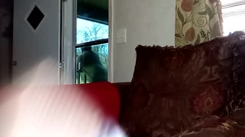 BlacJewels online show from 02.22.26