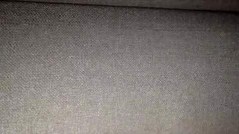 30nick online show from 02.09.26