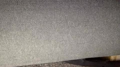 30nick online show from 03.07.26