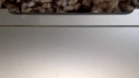 30nick online show from 06.11.26