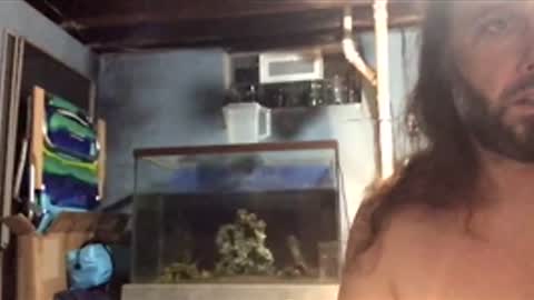 33adidas online show from 11.26.25