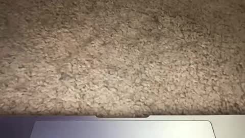 3dging_sub online show from 03.13.26