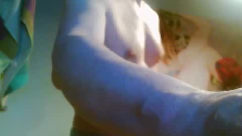 41bigdick41 online show from 04.08.26