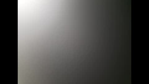 4dev206 online show from 12.08.24