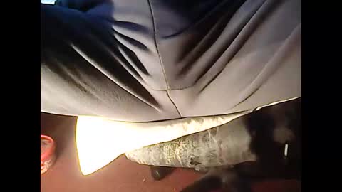 4guy200 online show from 11.23.25