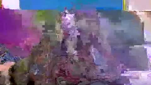 Snapshot of 4nuf chatting on 01.15.25 4nuf online show from 01.15.25