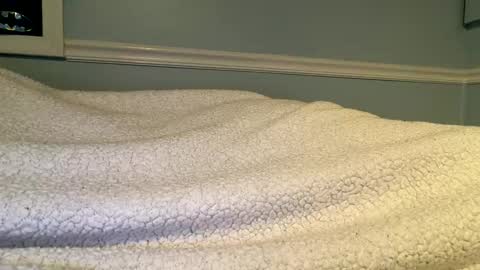 56nicecock35 online show from 03.08.26