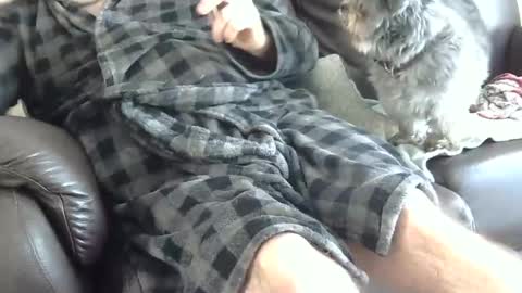 66bear online show from 12.25.24