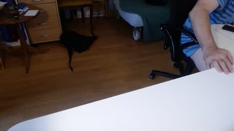 69pifpaf online show from 11.23.25