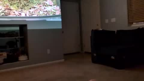 Snapshot of 69singledad79 chatting on 03.10.25 69singledad79 online show from 03.10.25