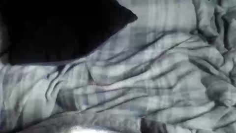 8675309r2d2 online show from 09.26.25