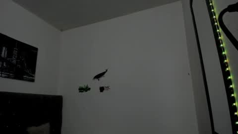 Snapshot of _1dereck chatting on 04.15.26 DERECK online show from 04.15.26