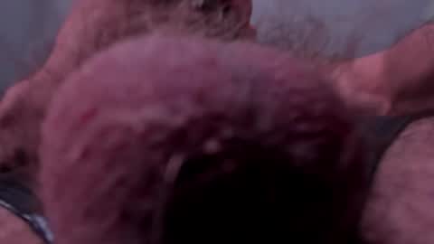 _adamcoper_ online show from 10.25.25