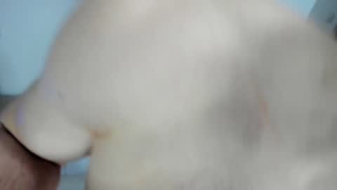 Alex online show from 01.28.25