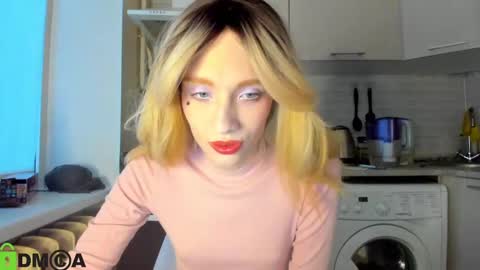 Snapshot of _alice_kitty chatting on 12.23.24 Gaylord online show from 12.23.24