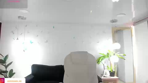 antonnela online show from 02.25.26