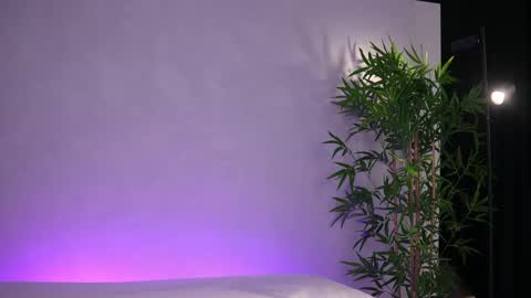 Arielle online show from 03.20.26