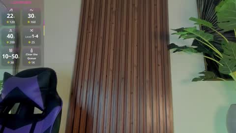 Snapshot of _artemish__ chatting on 02.01.26 online show from 02.01.26