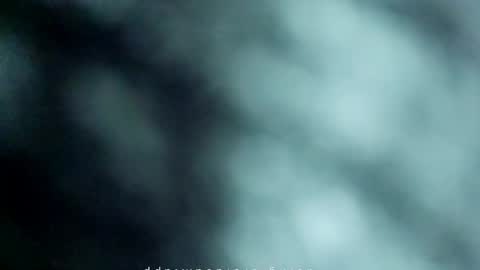 _black_horse_1 online show from 05.16.26