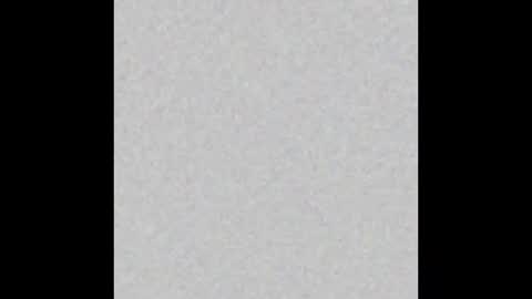 Brenda online show from 11.11.25