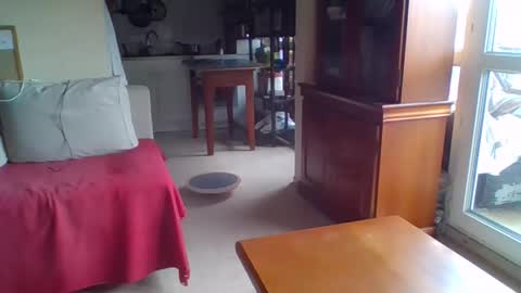 _bubble_buttfunxxx online show from 09.24.25