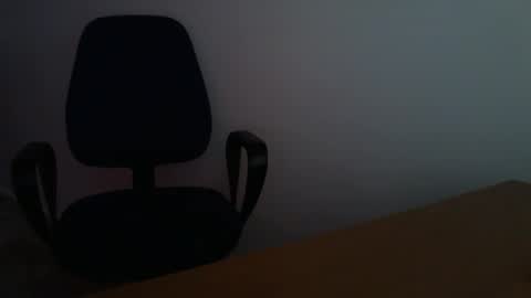 Snapshot of _bunny_b chatting on 12.25.24 I will be back soon online show from 12.25.24