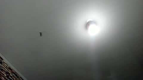 _casandra11 online show from 02.17.25