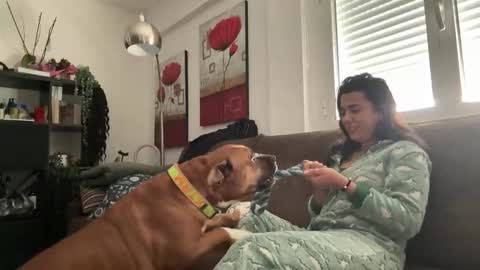  elena barra online show from 11.29.25