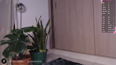 Jenn  online show from 02.17.26