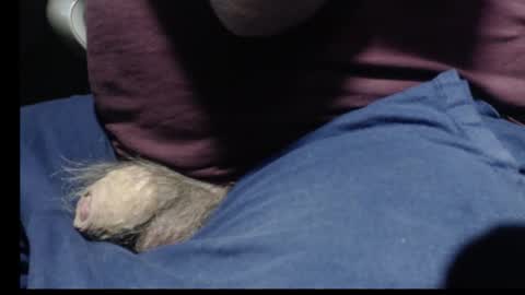 _jimmini online show from 02.12.26