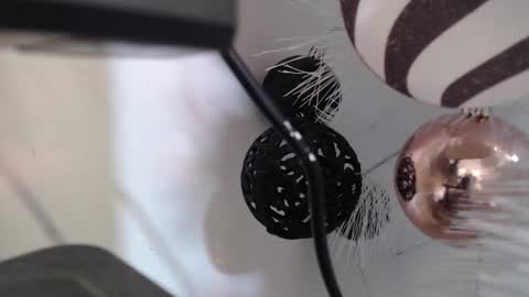 Snapshot of _kat_sweet chatting on 12.02.25 Cata online show from 12.02.25