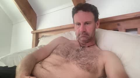 Kiwi online show from 11.07.25