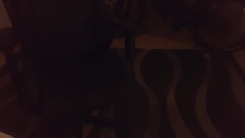 Snapshot of _krakauer_ chatting on 12.04.24 _krakauer_ online show from 12.04.24