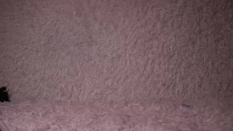 Snapshot of _made_in_hell_ chatting on 02.20.25 Stream at am in MoscowI am waiting for you very much3 online show from 02.20.25