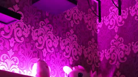 Snapshot of _made_in_hell_ chatting on 02.23.25 Stream at am in MoscowI am waiting for you very much3 online show from 02.23.25
