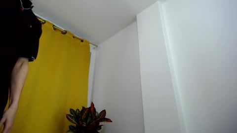 _skyleer_ online show from 11.08.25