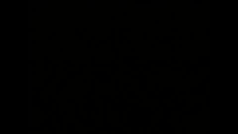 Melisa online show from 01.04.25